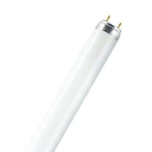 L 30w/840 flh1 lampada fluorescente l30840