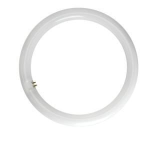 Lampada led circolare 18w 4000k attacco g10q  5456410