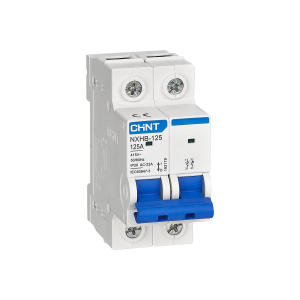Sezionatore elettrico modulare 2 poli  193175 per quadri elettrici