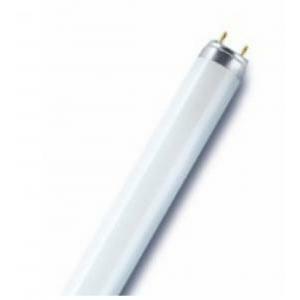 lampade fluorescenti